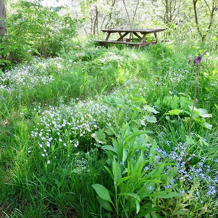 Natururlaub Apartamento *