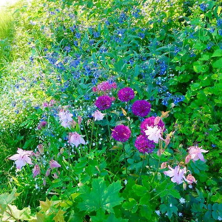 Apartamento Natururlaub Frankenau