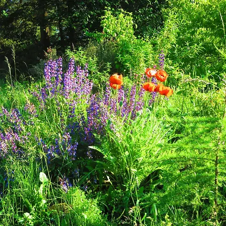 Natururlaub * Frankenau
