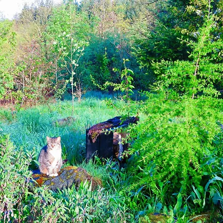 Apartamento Natururlaub