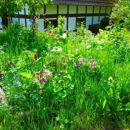 Natururlaub شقة Frankenau