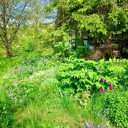 Natururlaub Apartment