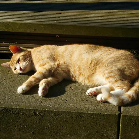 Apartamento Natururlaub