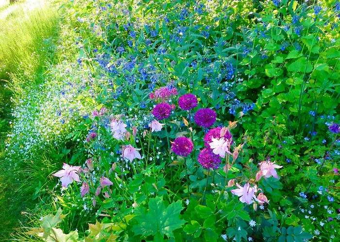 شقة Natururlaub Frankenau