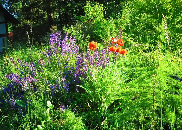Natururlaub * Frankenau