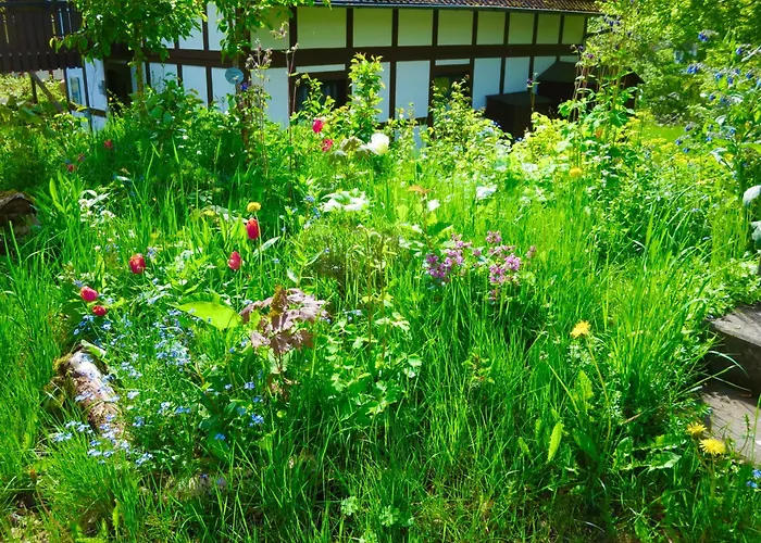 Natururlaub شقة Frankenau