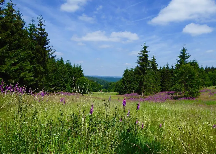 Natururlaub Frankenau